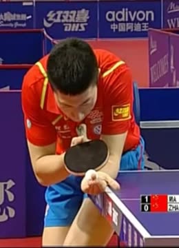 在过去的几 在过去的几