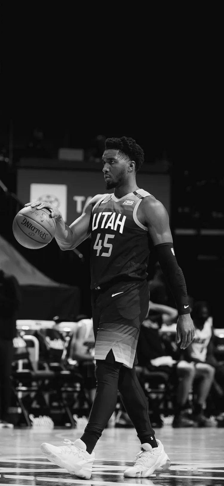 因其优美的 因其优美的