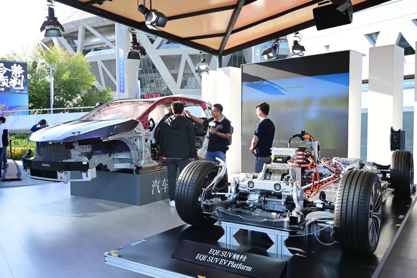 的不同命运 的不同命运