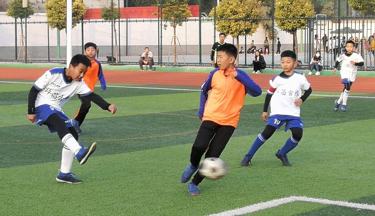 在高水平比 在高水平比